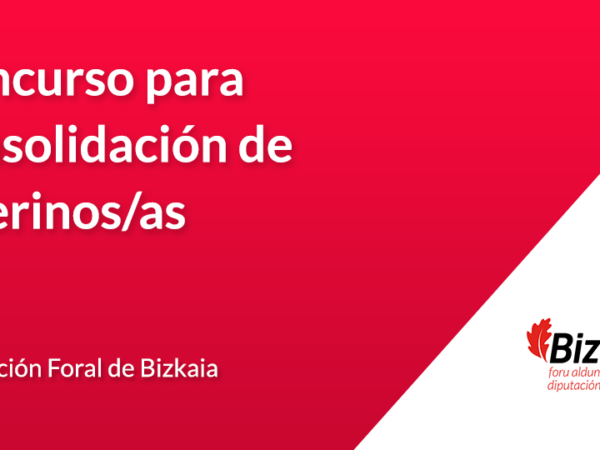 Diputación Foral de Bizkaia: concurso para consolidación de interinos/as